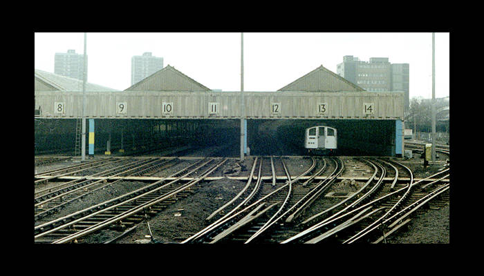 The Wood Station